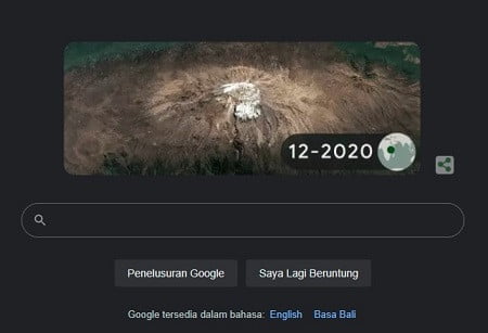 Google Doodle Hari Bumi 2022