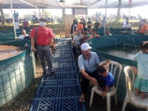 Sedekah Ikan, Jadi Cara Pokdakan Makna Jaya Memasyarakatkan Makan Ikan 4 Pokdakan Makna Jaya Desa Senon