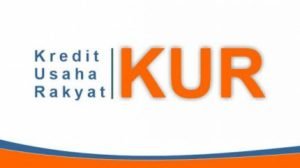 Melalui Kredit Usaha Rakyat Bank Rakyat Indonesia (KUR BRI Kredit Usaha Rakyat Bank Rakyat Indonesia (KUR BRI