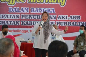 dituntut memiliki rumah sakit Pelayanan Obstetri Neonatal Emergensi Komprehensif (PONEK).