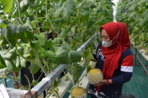 Bupati Purbalingga Dyah Hayuning Pratiwi