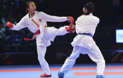 Pengurus Besar Federasi Karate Indonesia