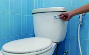 Pengantin Baru Harus Memiliki Jamban Sehat