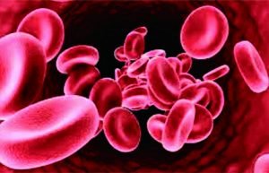 halassaemia merupakan penyakit kelainan darah yang belum dikenal secara luas oleh publik.