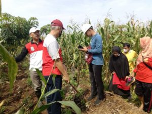 pembangunan TPST dan IPLT.