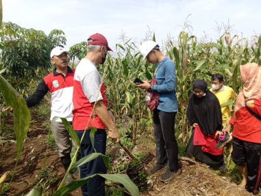 pembangunan TPST dan IPLT.