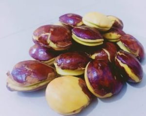 Jengkol, Ternyata Punya Banyak Manfaat Dibalik Baunya yang Sangat Khas Jengkol, Ternyata Punya Banyak Manfaat Dibalik Baunya yang Sangat Khas