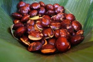 Suka Jengkol Catat Begini Efek Samping Jika Makan Terlalu Banyak uka Jengkol, Catat Begini Efek Samping Jika Makan Terlalu Banyak