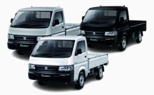 Suzuki New Carry