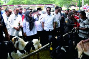 Purbalingga Terima Program Upland dari Kementerian Pertanian Senilai 23 Milyar