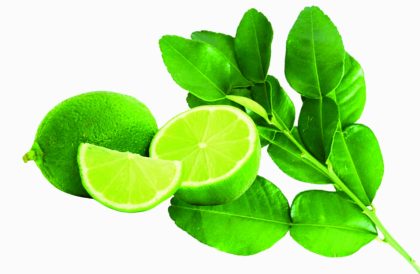 Jeruk Nipis, Buah Ikhtiar Pereda Sakit Gigi