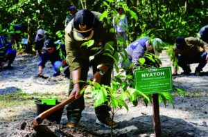 Menteri LHK Siti Nurbaya menanam pohon Nyatoh di kawasan Taman Nasional Tanjung Puting (TNTP) Pangkalan Bun Kabupaten Kotawaringin Barat, Provinsi Kalimantan Tengah. Menteri LHK Siti Nurbaya menanam pohon Nyatoh di kawasan Taman Nasional Tanjung Puting (TNTP) Pangkalan Bun Kabupaten Kotawaringin Barat, Provinsi Kalimantan Tengah.