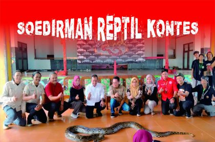 Karang Taruna Manunggal Perwira Kecamatan Purbalingga berkolaborasi dengan Komunitas Reptil Keeper Purbalingga (REKS) menyelenggarakan Soedirman Reptil Kontes, di Gedung Olahraga (GOR) Mahesa Jenar, Purbalingga, Minggu 16 Juli 2023.