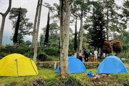 Kebun Teh Medini. Foto: jalanjalanenak.com