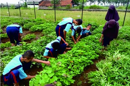 Penanaman nilai karakter cinta lingkungan pada siswa di SMP N 2 Kalimanah dilakukan melalui kegiatan berkebun.