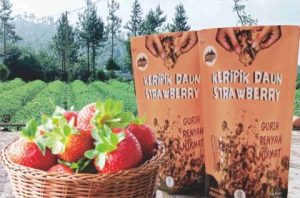 Kripik Daun Strawberry Desa Serang Kripik Daun Strawberry Desa Serang