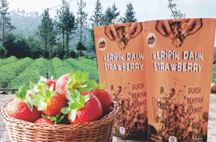 Kripik Daun Strawberry Desa Serang