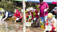 PT Solusi Bangun Indonesia Tbk Cilacap Tanam 5.000 Mangrove, Wujudkan Wahana Eduwisata Alam, di Depok Mangrove Kelurahan Karangtalun, Kecamatan Cilacap Utara, Jumat, 29 September 2023 PT Solusi Bangun Indonesia Tbk Cilacap Tanam 5.000 Mangrove, Wujudkan Wahana Eduwisata Alam PT Solusi Bangun Indonesia Tbk Cilacap Tanam 5.000 Mangrove, Wujudkan Wahana Eduwisata Alam, di Depok Mangrove Kelurahan Karangtalun, Kecamatan Cilacap Utara, Jumat, 29 September 2023 PT Solusi Bangun Indonesia Tbk Cilacap Tanam 5.000 Mangrove, Wujudkan Wahana Eduwisata Alam