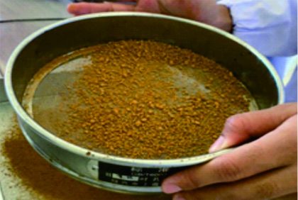 Burdock, tumbuhan herbal yang berpotensi sebagai imunonutrisi pada anemia defisiensi besi. Foto: Tim PKM UNAIC