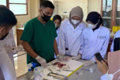 Mahasiswa Universitas Al-Irsyad Cilacap Program Kreativitas Mahasiswa mengembangkan obat penambah darah dari akar burdock. Foto: Tim PKM UNAIC