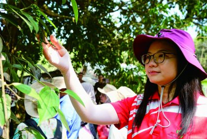 Anggota International Pepper Community (IPC) mengunjungi perkebunan lada di Desa Kedarpan Kecamatan Kejobong, Purbalingga, Kamis 12 Oktober 2023.