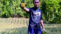 Hasil nanas yang melimpah di Desa Siwarak, Kecamatan Karangreja, di tangan Ngudiono, bisa dijadikan berbagai macam olahan yang mempunyai nilai jual tinggi. Hasil nanas yang melimpah di Desa Siwarak, Kecamatan Karangreja, di tangan Ngudiono, bisa dijadikan berbagai macam olahan yang mempunyai nilai jual tinggi.