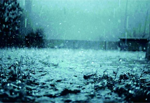 Hujan mengguyur tanah. Foto: marshallslocuminn.com Hujan mengguyur tanah. Foto: marshallslocuminn.com