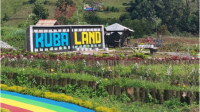 Kuba Land, destinasi wisata anyar di lereng Gunung Slamet resmi beroperasi.