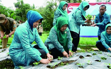 Tim Penggerak Pemberdayaan dan Kesejahteraan Keluarga (TP-PKK) Kabupaten Purbalingga menggelar Gerakan Tanam Cabai, Senin 4 Maret 2024. Tim Penggerak Pemberdayaan dan Kesejahteraan Keluarga (TP-PKK) Kabupaten Purbalingga menggelar Gerakan Tanam Cabai, Senin 4 Maret 2024.