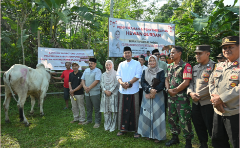 Bupati Purbalingga Dyah Hayuning Pratiwi menyerahkan bantuan Sapi Potong Jantan kepada masyarakat di Desa Pangempon, Kecamatan Kejobong, di Kompleks MIM Pangempon, Senin 17 Juni 2024