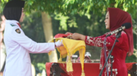 Bupati Purbalingga, Dyah Hayuning Pratiwi (Tiwi) yang menjadi Inspektur Upacara pengibaran bendera Merah Putih dalam rangka memperingati HUT ke-79 Republik Indonesia, di Alun-alun Purbalingga, Sabtu 17 Agustus 2024. Bupati Purbalingga, Dyah Hayuning Pratiwi (Tiwi) yang menjadi Inspektur Upacara pengibaran bendera Merah Putih dalam rangka memperingati HUT ke-79 Republik Indonesia, di Alun-alun Purbalingga, Sabtu 17 Agustus 2024.