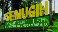 Kampoeng Teh Semugih di Jalan Raya Moga - Pulosari No.KM. 02, Simadu Barat, Banyumudal, Kecamatan Moga, Kabupaten Pemalang, Jawa Tengah tujuan berwisata bersama keluarga. Kampoeng Teh Semugih di Jalan Raya Moga - Pulosari No.KM. 02, Simadu Barat, Banyumudal, Kecamatan Moga, Kabupaten Pemalang, Jawa Tengah tujuan berwisata bersama keluarga.