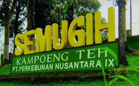 Kampoeng Teh Semugih di Jalan Raya Moga - Pulosari No.KM. 02, Simadu Barat, Banyumudal, Kecamatan Moga, Kabupaten Pemalang, Jawa Tengah tujuan berwisata bersama keluarga. Kampoeng Teh Semugih di Jalan Raya Moga - Pulosari No.KM. 02, Simadu Barat, Banyumudal, Kecamatan Moga, Kabupaten Pemalang, Jawa Tengah tujuan berwisata bersama keluarga.