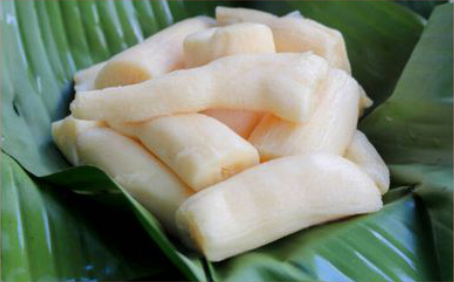 Cara Membuat Tape Singkong Cara Membuat Tape Singkong