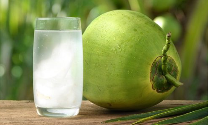 Kandungan Air Kelapa Tingkatkan Kekebalan Tubuh