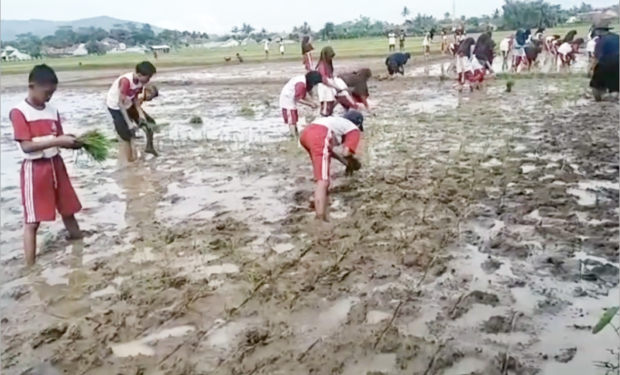 Sawah Edukasi SMP Negeri 2 Banyumas