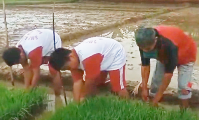 SMP Negeri 2 Banyumas launching sawah edukasi untuk mendukung Program Ketaganan Pangan yang merupakan gagasan Presiden Republik Indonesia Prabowo Subiyanto.