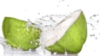 Kelapa muda baik untuk kesehatan tubuh Kelapa muda baik untuk kesehatan tubuh