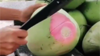 Kelapa Muda Serat Merah Kelapa Muda Serat Merah