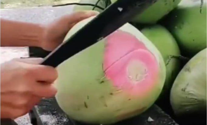 Kelapa Muda Serat Merah