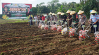 Polres Purbalingga berkomitmen mendukung ketahanan pangan dengan melaksanakan program Polri penanaman jagung serentak satu juta hektare.
