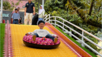 Destinasi wisata Sanggaluri Park Purbalingga di Kabupaten Purbalingga kini mempunyai wahana baru Yellow Slide untuk memanjakan pengunjung. Destinasi wisata Sanggaluri Park Purbalingga di Kabupaten Purbalingga kini mempunyai wahana baru Yellow Slide untuk memanjakan pengunjung.