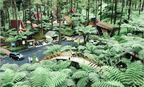 Destinasi Wisata Hutan Pinus Limpakuwus menawarkan tempat menginap berupa cottage yang nyaman hingga petualangan outbound yang menantang. Sumber Foto: joss.co.id