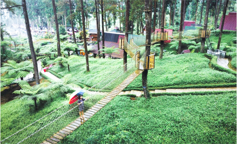 Destinasi Wisata Hutan Pinus Limpakuwus terletak di Jalan Raya Baturraden Timur, Sumbang, Banyumas. Sumber Foto: hutanpinuslimpakuwus.com Destinasi Wisata Hutan Pinus Limpakuwus terletak di Jalan Raya Baturraden Timur, Sumbang, Banyumas. Sumber Foto: hutanpinuslimpakuwus.com