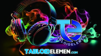 logo elemen story1