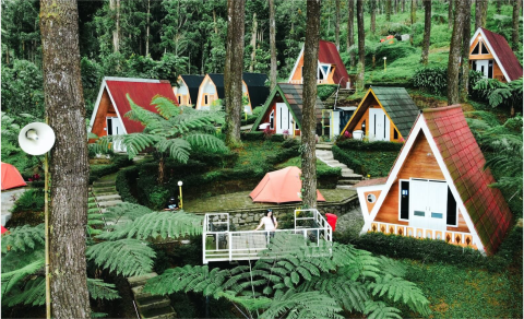 Tidak kalah menarik, wisata hutan pinus Limpakuwus juga memiliki area penginapan. Sumber Foto: hutanpinuslimpakuwus.com