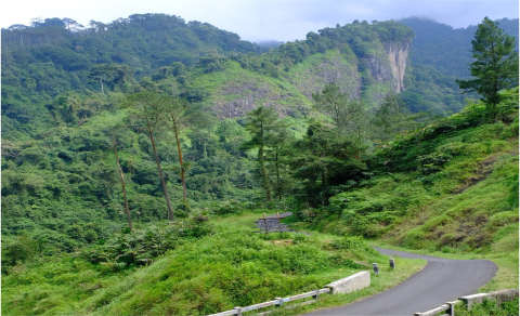 Perbukitan Sisik Naga Benteng Terakhir Hutan Alam di Purbalingga