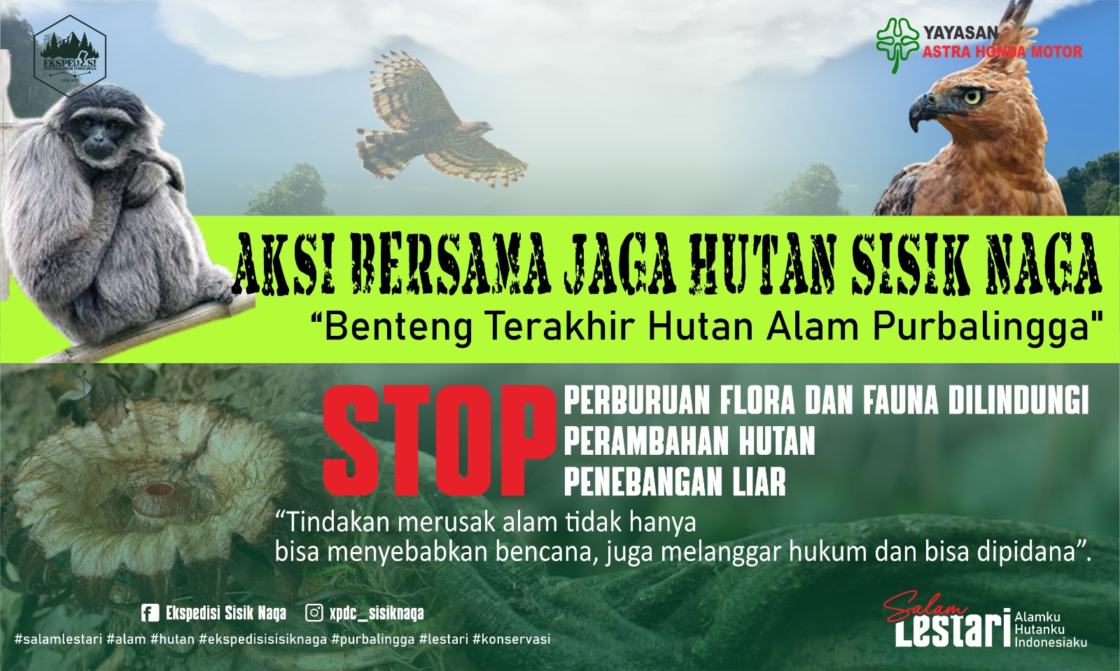Aksi Jaga Hutan Sisik Naga