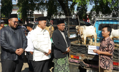 Pemerintah Kabupaten (Pemkab) Purbalingga menyerahkan 27 ekor sapi, 84 ekor kambing, serta 1.335 ekor domba untuk kurban dari berbagai pihak untuk masyarakat Purbalingga. Pemerintah Kabupaten (Pemkab) Purbalingga menyerahkan 27 ekor sapi, 84 ekor kambing, serta 1.335 ekor domba untuk kurban dari berbagai pihak untuk masyarakat Purbalingga.