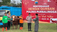 Kapolres Purbalingga AKBP Achmad Akbar menyerahkan hewan kurban sebanyak 16 ekor sapi dan 29 ekor kambing Kapolres Purbalingga AKBP Achmad Akbar menyerahkan hewan kurban sebanyak 16 ekor sapi dan 29 ekor kambing